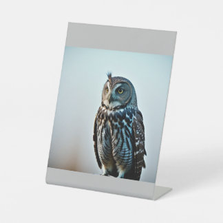 Expositor En L Sabiduría