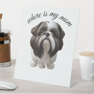 Expositor En L Shih Tzu - ¿Dónde Está Mi Mamá