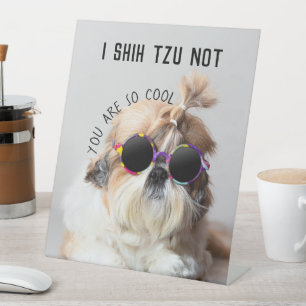 Expositor En L Shih Tzu No es divertido a los amantes de los perr