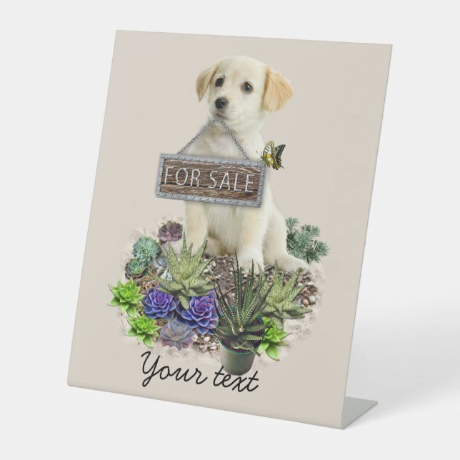 Expositor En L Suculentos en venta (Anverso)