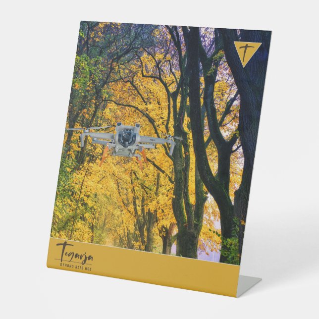 EXPOSITOR EN L TEGARJA (Anverso)