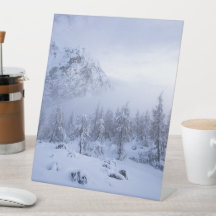 Tierras maravillosas del invierno, niebla, bosque 