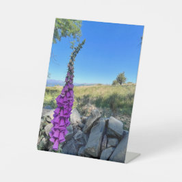 Expositor En L Tranquilidad del campo inglés