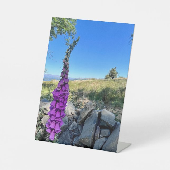 Expositor En L Tranquilidad del campo inglés (Anverso)