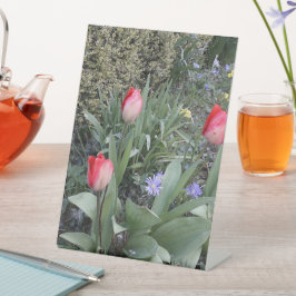 Expositor En L Tuercas del jardín rojo