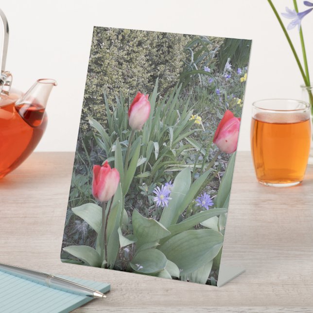 Expositor En L Tuercas del jardín rojo (In Situ)