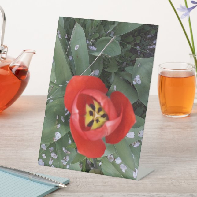 Expositor En L Tulip rojo (In Situ)