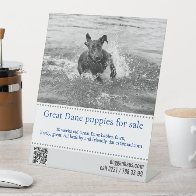 Expositor En L Vendedor de cartel (In Situ)