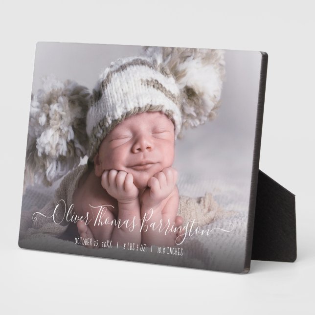 Expositora Bebé, placa de estadísticas de natalidad (Lado)