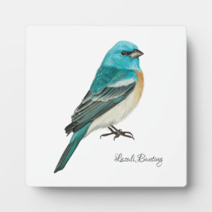 Expositora Bonita placa de aves