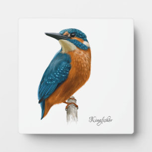 Expositora Bonita placa de aves