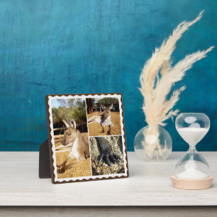 Expositora Collage de imágenes canguro, placa fotográfica