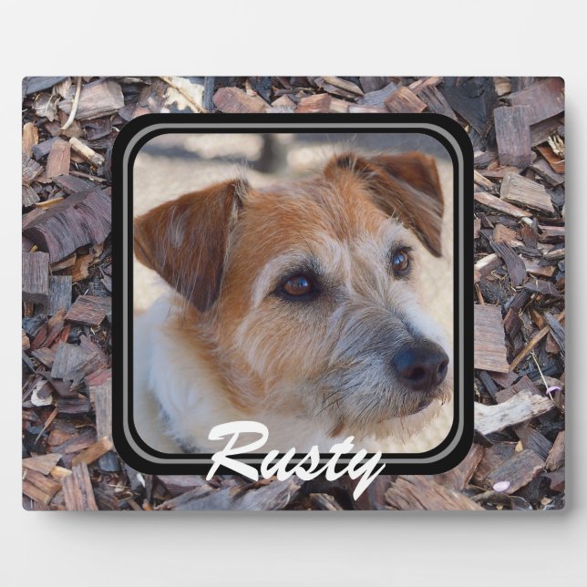 Expositora Crea tu propia placa fotográfica (Frente)