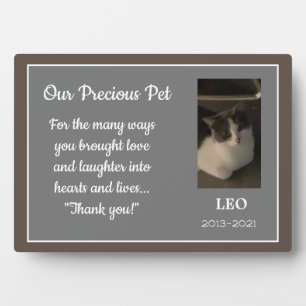 Expositora Dulce Mascota personalizado memorial placa de la m