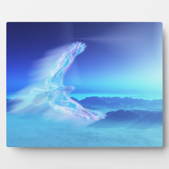 Expositora Fénix de la placa fotográfica norte (Frente)