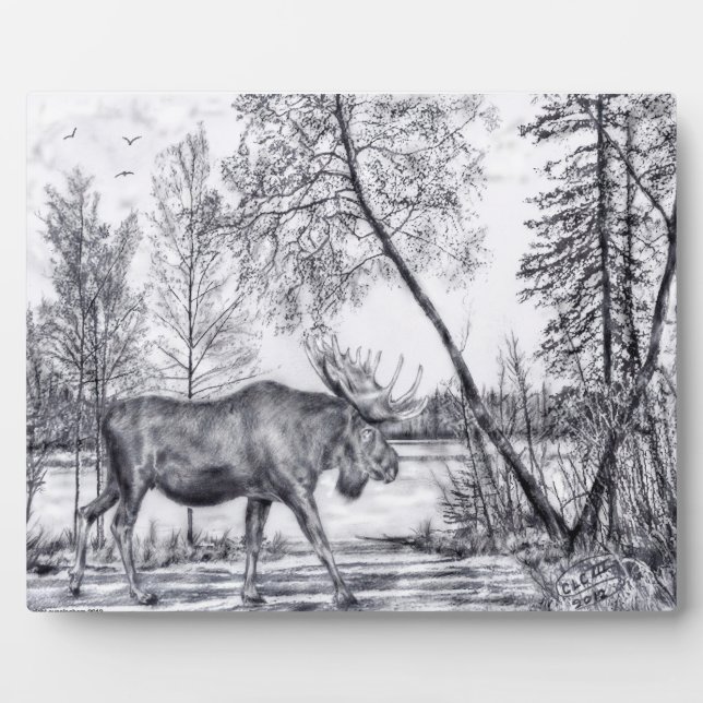 Expositora Gran placa de alce (Frente)