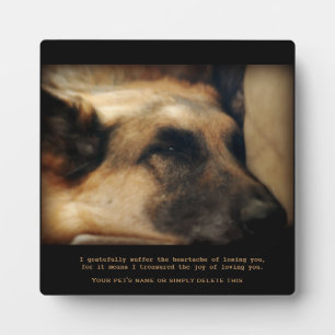 Expositora Hermosa placa conmemorativa para mascota Pastor Al