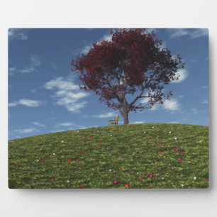 Expositora Las Nubes Navegan Por Placa Fotográfica