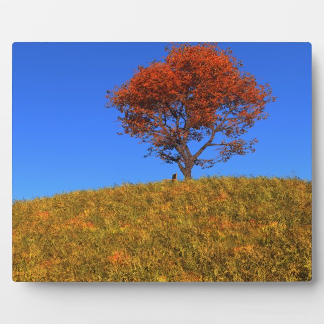 Expositora Limpiar placa fotográfica de otoño (Frente)