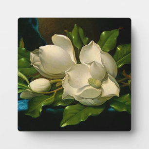 Expositora Magnolias gigantes sobre una placa de tela de terc