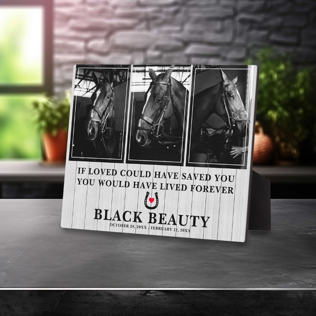 Expositora Pérdida de Caballo Mascota | Placa conmemorativa d (Subido por el creador)