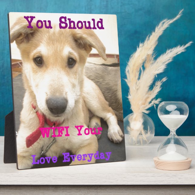 Expositora Placa (Lado)