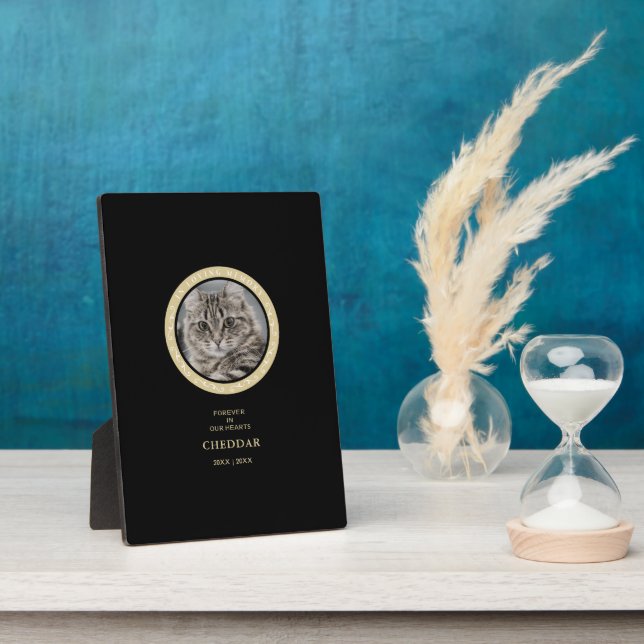 Expositora Placa con atril (Lado)