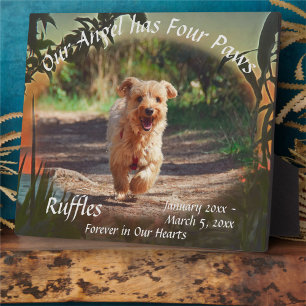 Expositora Placa conmemorativa de mascota cuatro patas atarde