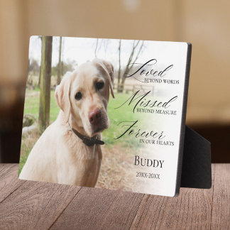 Expositora Placa conmemorativa de mesa con foto de mascota