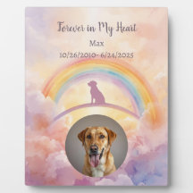 Placa conmemorativa del Puente Arcoíris de Labrado