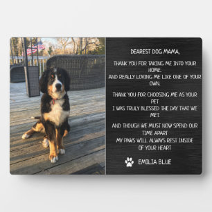 Expositora Placa conmemorativa para mascotas en memoria amoro