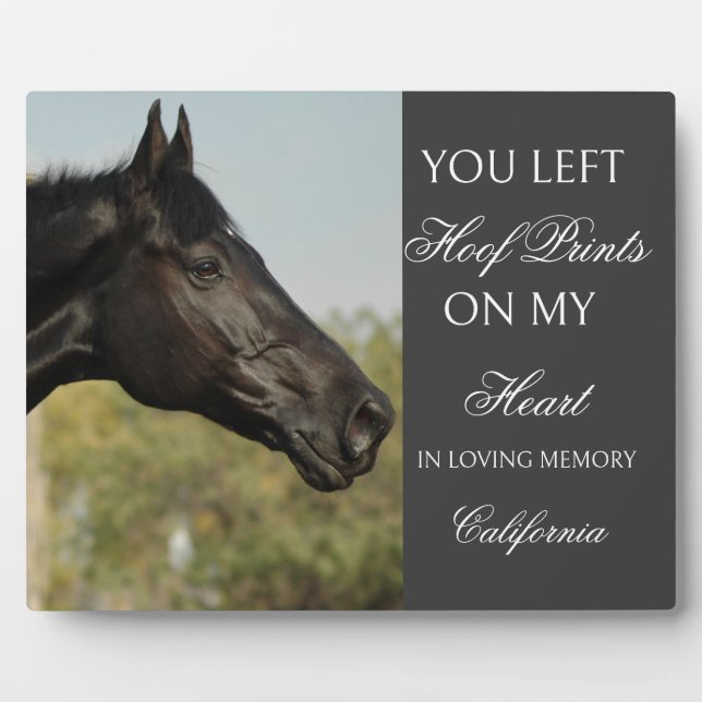 Expositora Placa conmemorativa personalizada para caballos co (Frente)