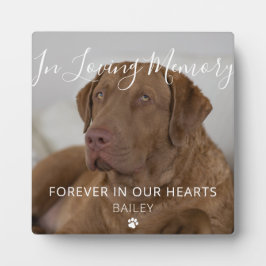 Expositora Placa conmemorativa personalizada para mascota per