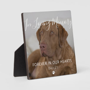 Expositora Placa conmemorativa personalizada para mascota per