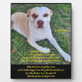 Expositora Placa de escritorio con caballete