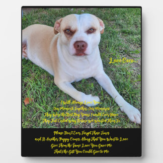 Expositora Placa de escritorio con caballete