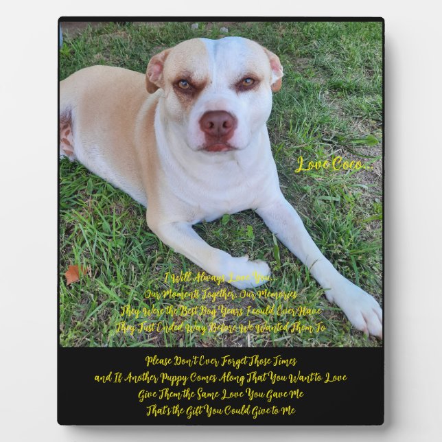 Expositora Placa de escritorio con caballete (Frente)