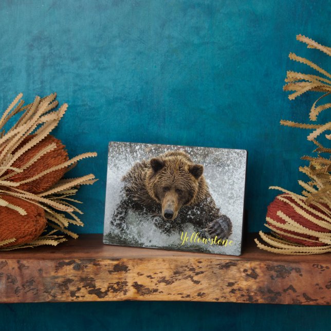 Expositora Placa de Foto-Placa de Oso de Yellowstone (Lado)