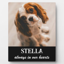 Placa de Imagen de Recuerdo de Mascota