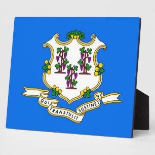 Expositora Placa de la Bandera del Estado de Connecticut