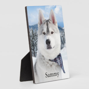 Expositora Placa de mesa con atril para foto de mascota con n