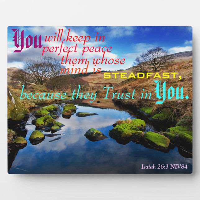 Expositora Placa de paz perfecta. (Frente)