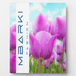 EXPOSITORA PLACA DE TABLA DE MEFTOOL