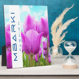 EXPOSITORA PLACA DE TABLA DE MEFTOOL