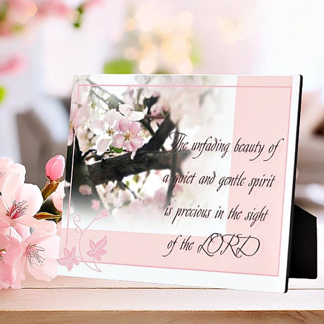 Expositora Placa tranquila y suave (Subido por el creador)