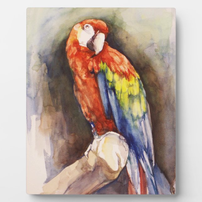 Expositora Preciosa placa de loro (Frente)