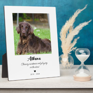 Expositora Regalo conmemorativo para mascotas Placa en memo