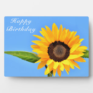 Expositora Regalo de cumpleaños de la placa de girasol