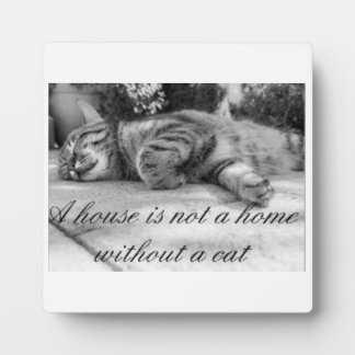 Expositora ¡Una casa no es una casa sin una placa para gatos!