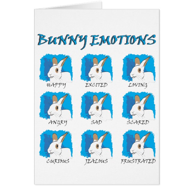 EXPRESIONES (Frente)